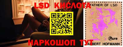 бошки Сланцы