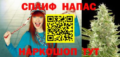 jwh Славгород
