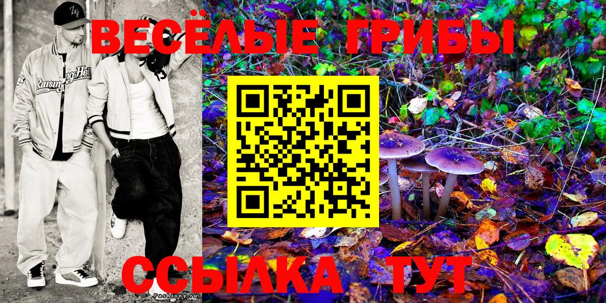 Самара  Псилоцибиновые грибы Psilocybe  Вход с VPN  Галлюциногенные грибы Magic Shrooms 