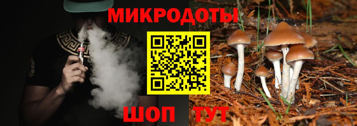 Псилоцибиновые грибы прущие грибы Самара